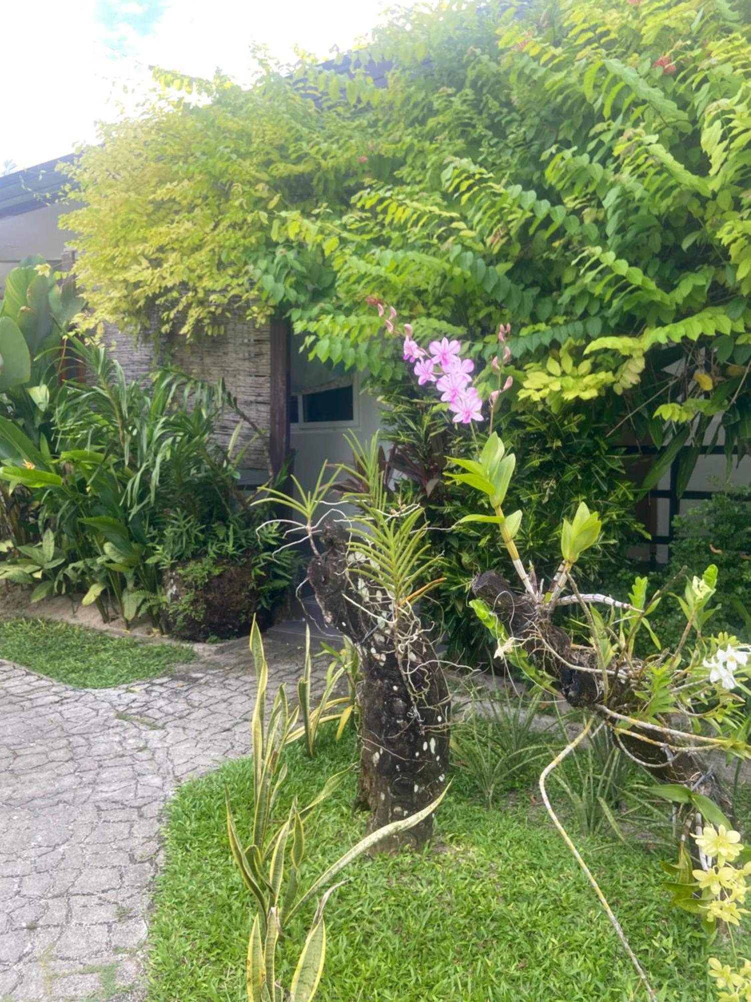 Vivo Siargao Hotel General Luna  Bagian luar foto